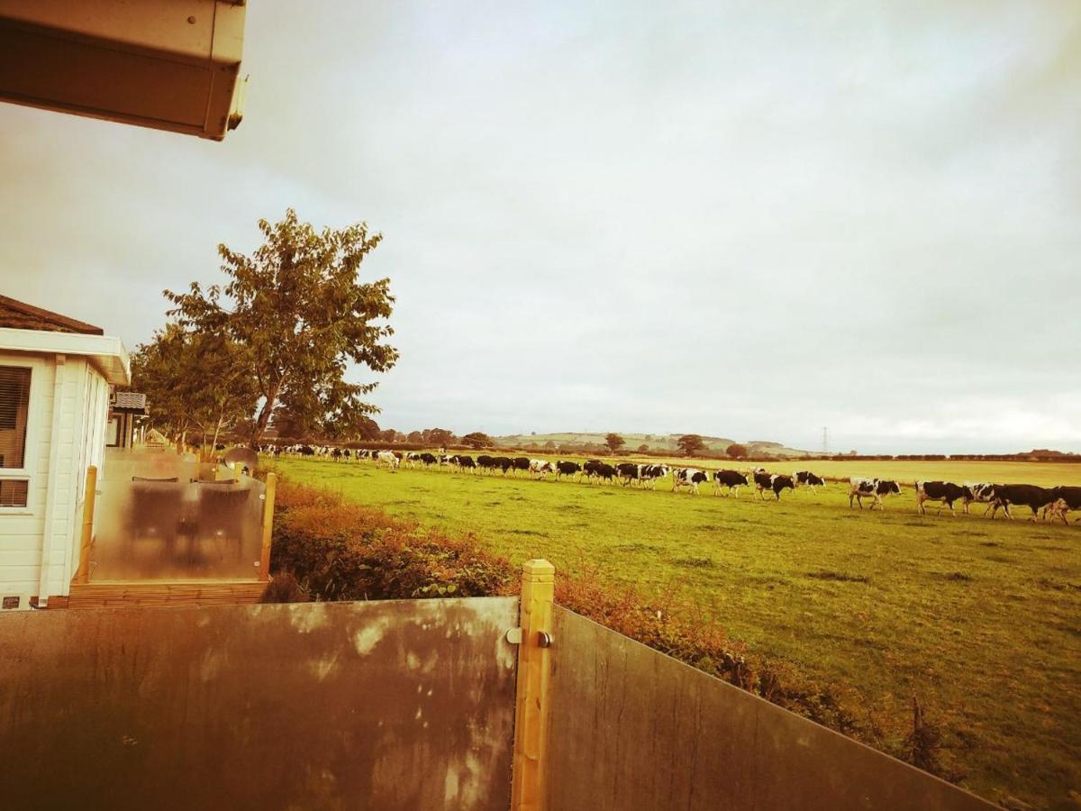 19 Park Views Just Outside Penrith For Holidays And Short Breaks Please No Commercial Vans Thankyou High Hesket Luaran gambar