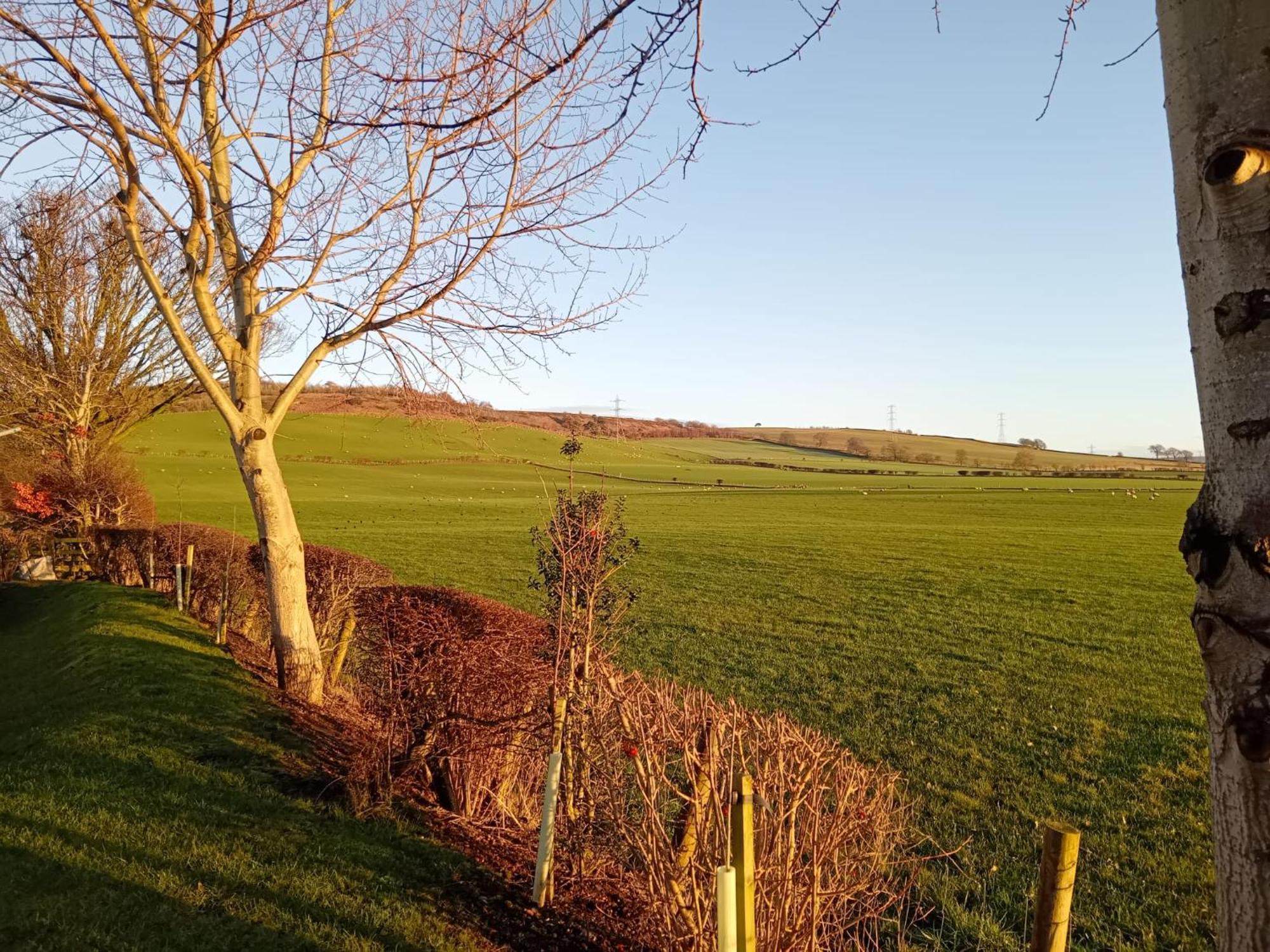 19 Park Views Just Outside Penrith For Holidays And Short Breaks Please No Commercial Vans Thankyou High Hesket Luaran gambar